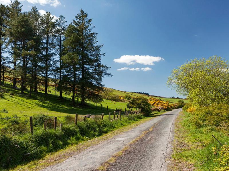 Curradoon House Villa Ballynamult Buitenkant foto